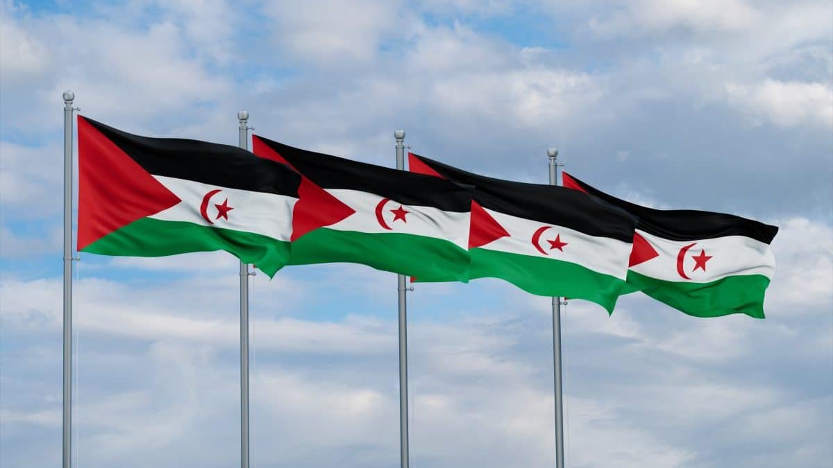 Sahara occidental : un adjoint de Blinken en visite en Algérie et au Maroc