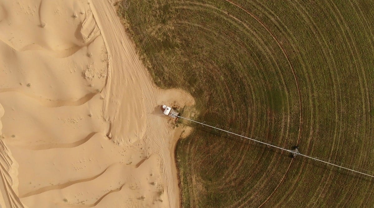 Agriculture saharienne en Algérie : la délicate question de l’eau