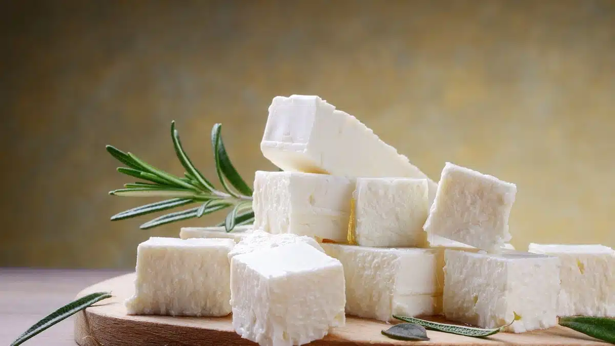 Larbi et Naïma, un couple franco-algérien qui fait rayonner le fromage d&rsquo;Algérie