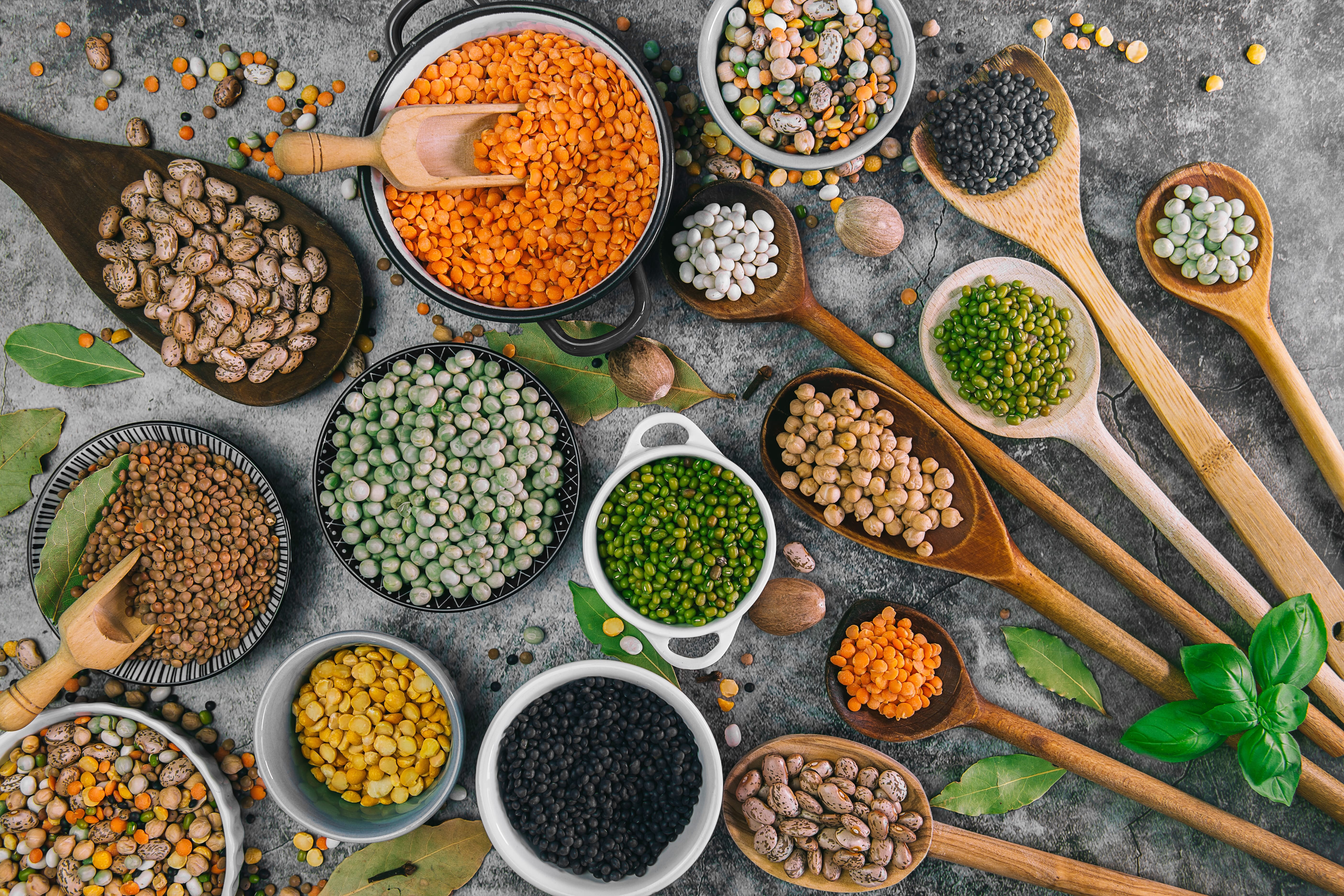 Polémique sur les légumes secs : le gouvernement se contredit