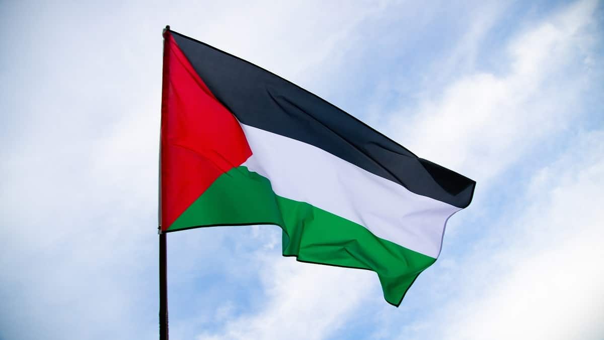 Leve Palestina, la chanson qui a rendu virales des manifs pro-Palestiniens en Europe