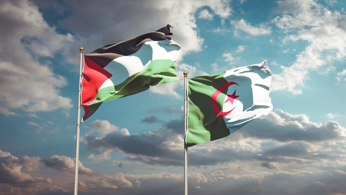 Guerre contre Gaza : Kamel Daoud, Sansal, Sifaoui vus d’Algérie