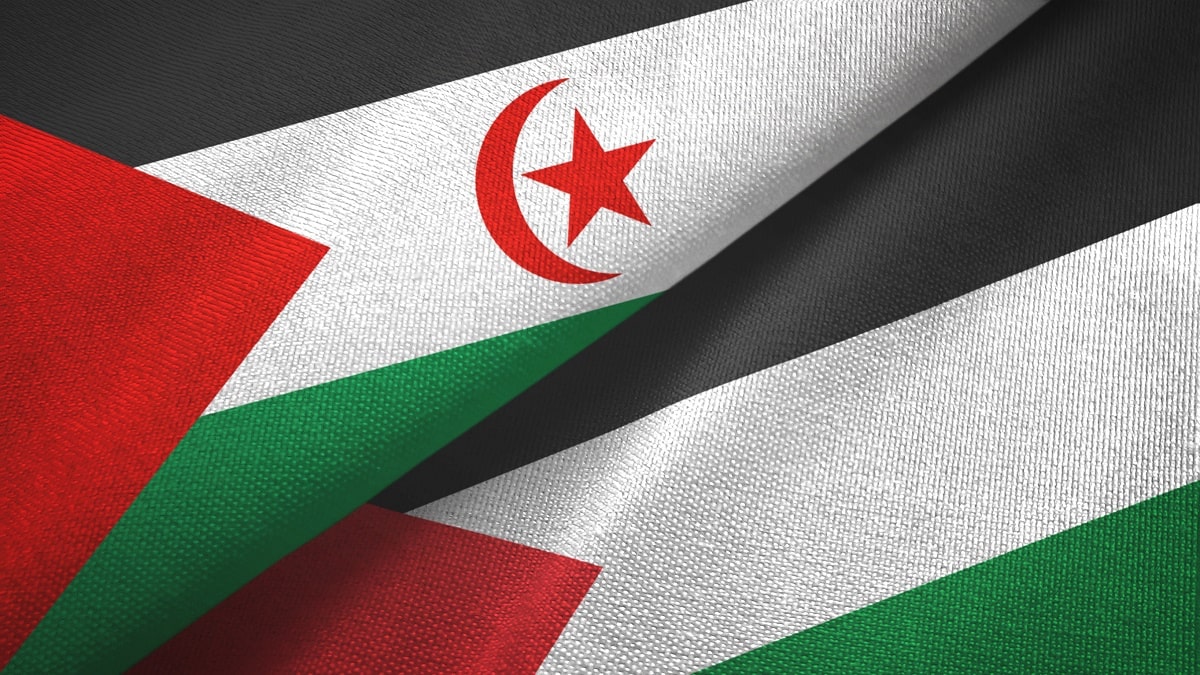 Saïd Chengriha : La « souffrance » des Palestiniens et des Sahraouis est « similaire »