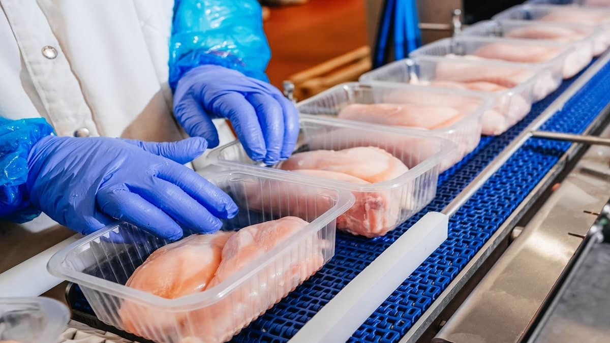 Succès du « Poulet Vert » en Algérie
