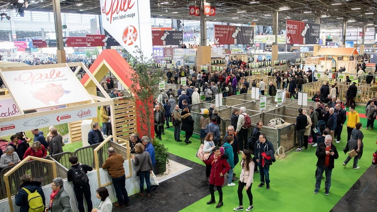 « L’arrêt des importations a boosté les plantations d’arbres fruitiers en Algérie »