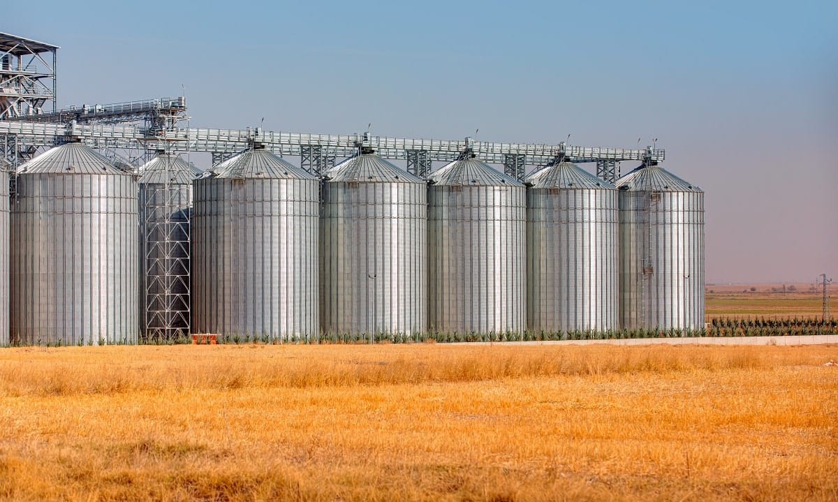 Stockage des céréales : l’Algérie en proie aux lourdeurs administratives