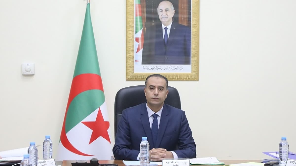 Succession de Belmadi : le président de la FAF fixe une échéance