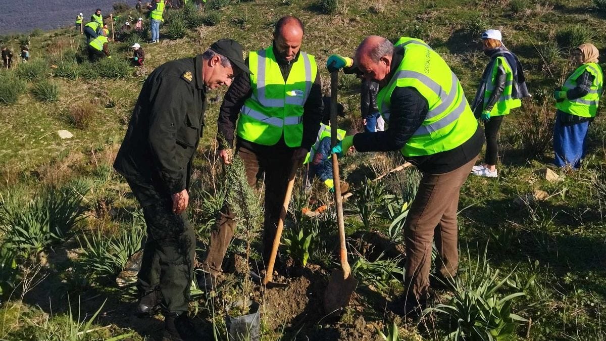Cevital lance une opération de reboisement à Yakouren