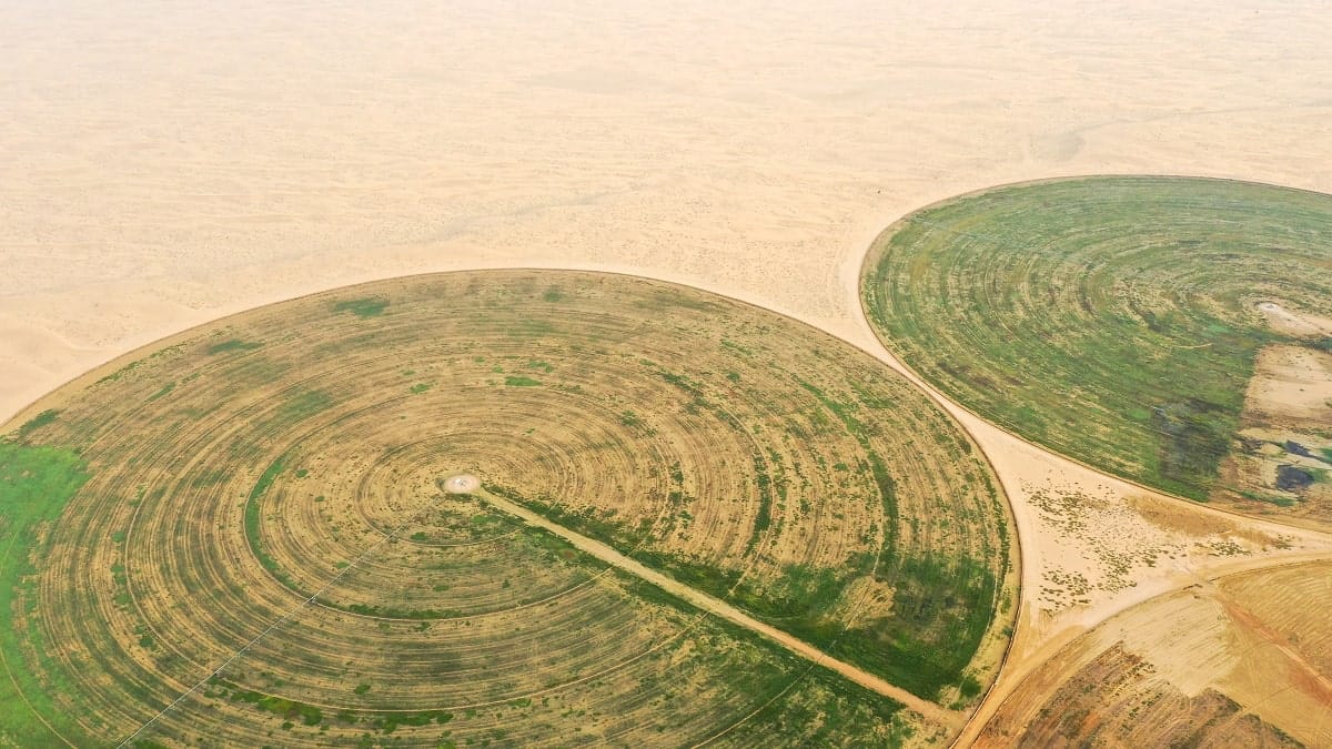 Sécurité alimentaire : l’Algérie mise sur l’agriculture saharienne