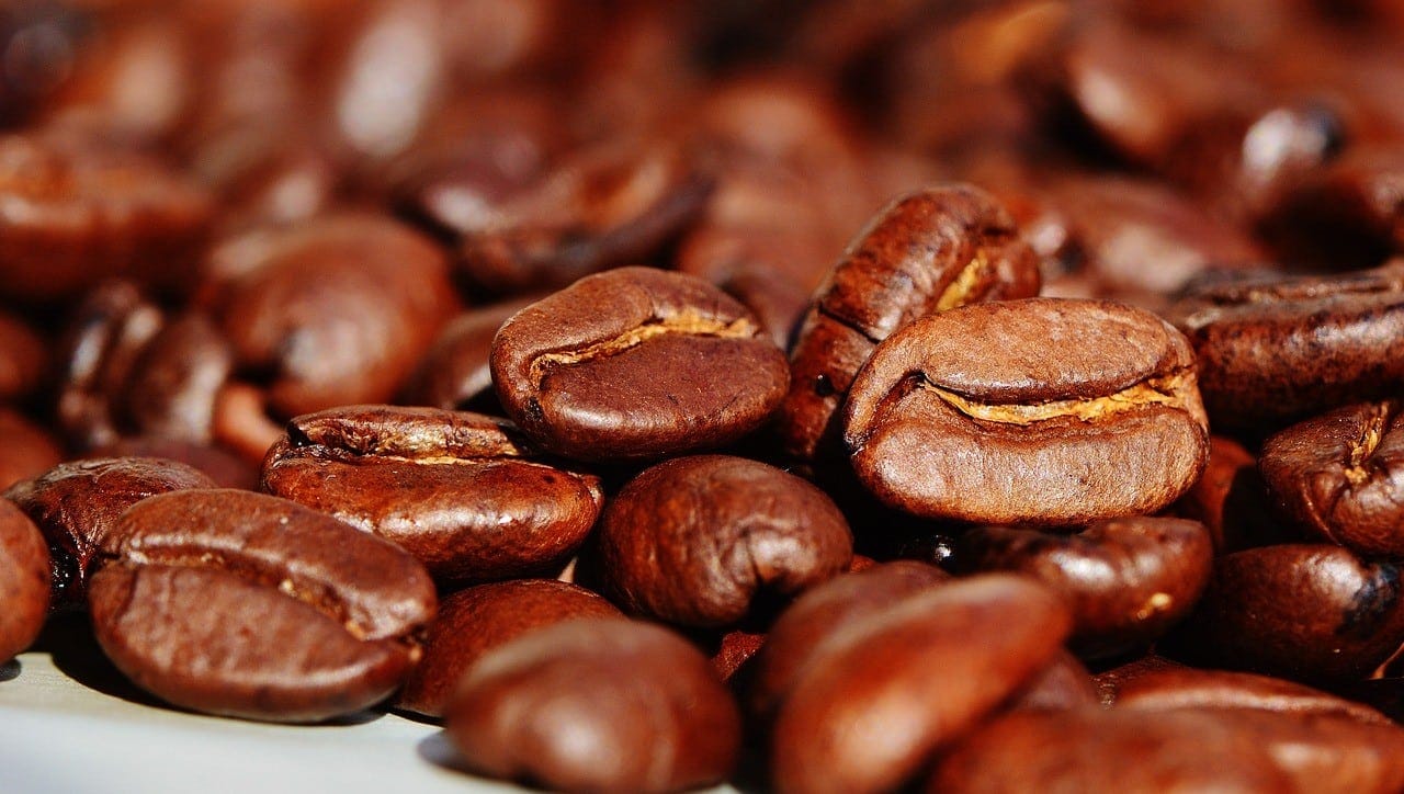 Algérie : après les bananes, essai réussi de production du café