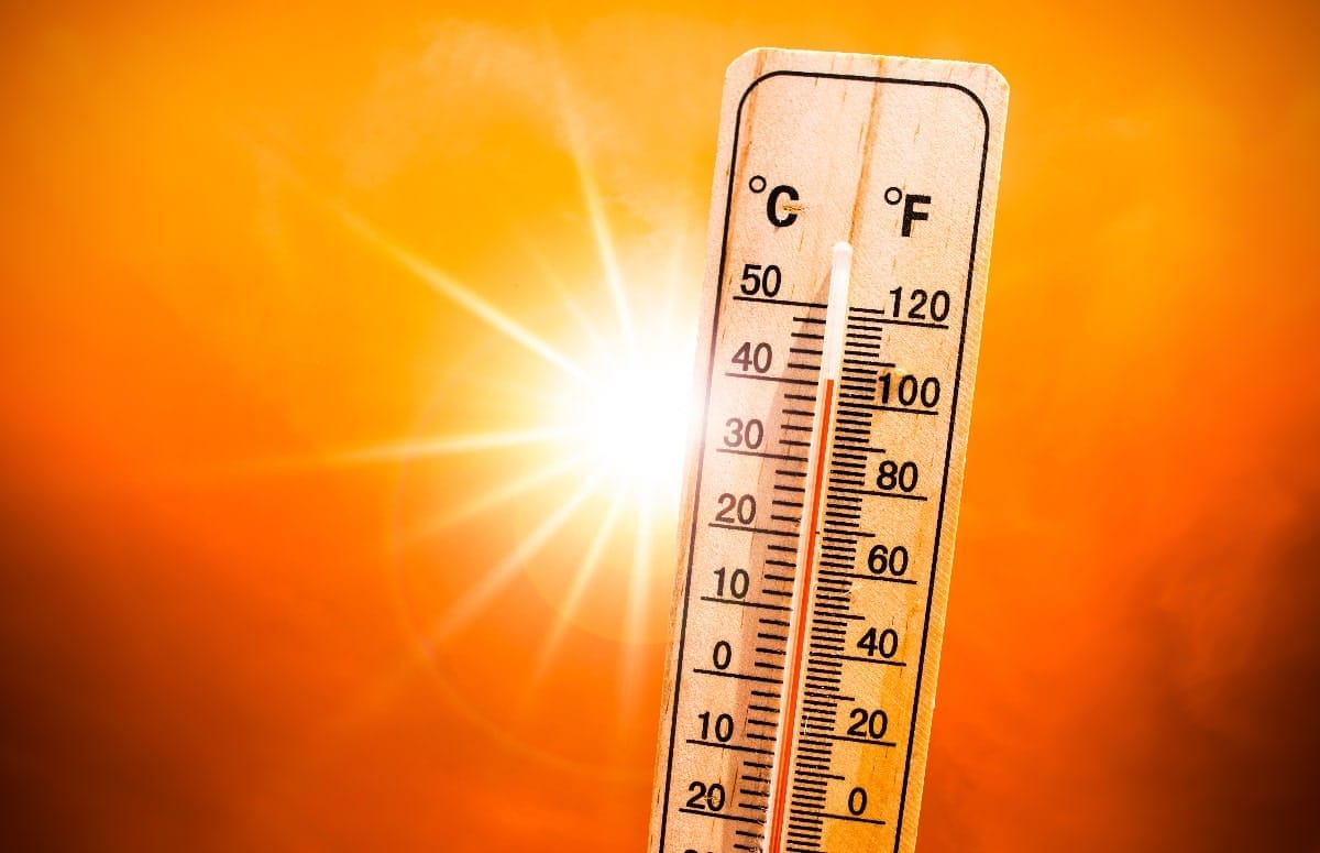 Canicule : une vague de chaleur déferle sur l’Algérie