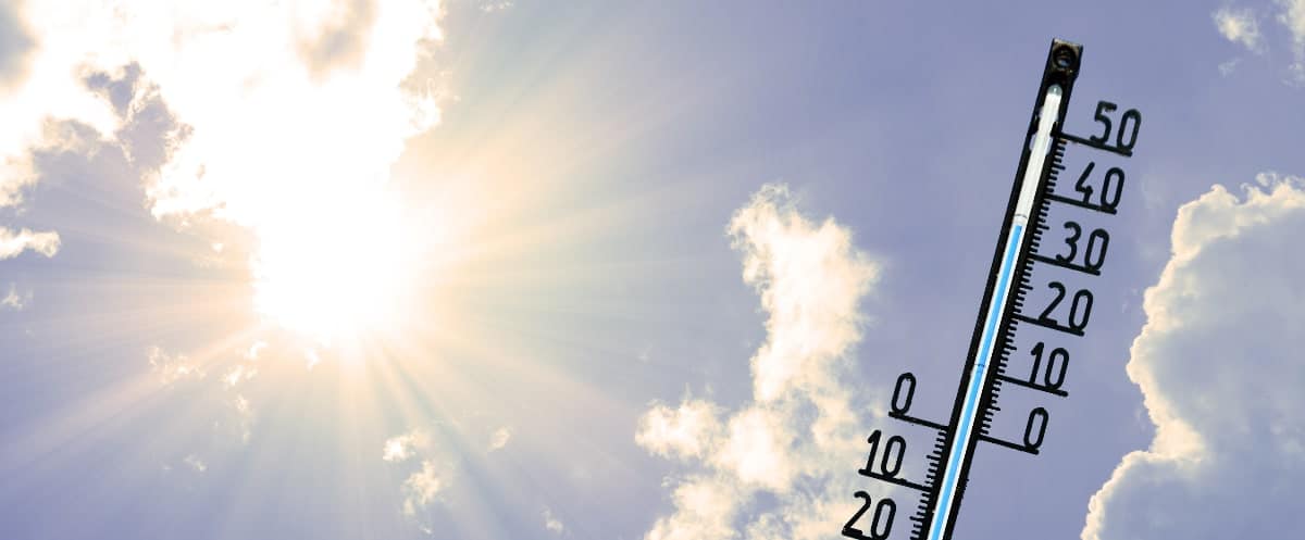 Canicule : pourquoi il fait très chaud en Algérie