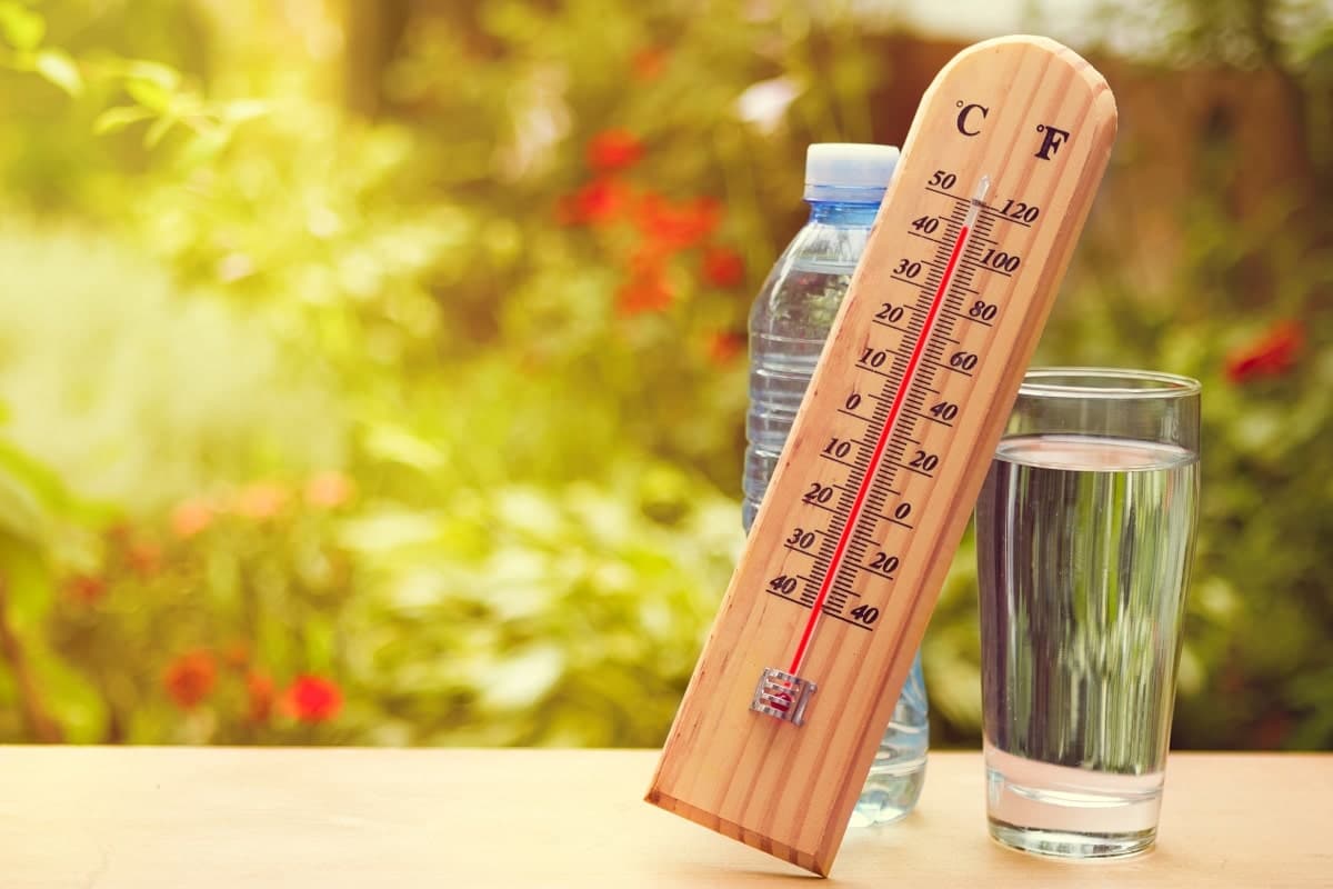 Canicule : nouvelle vague de chaleur attendue en Algérie