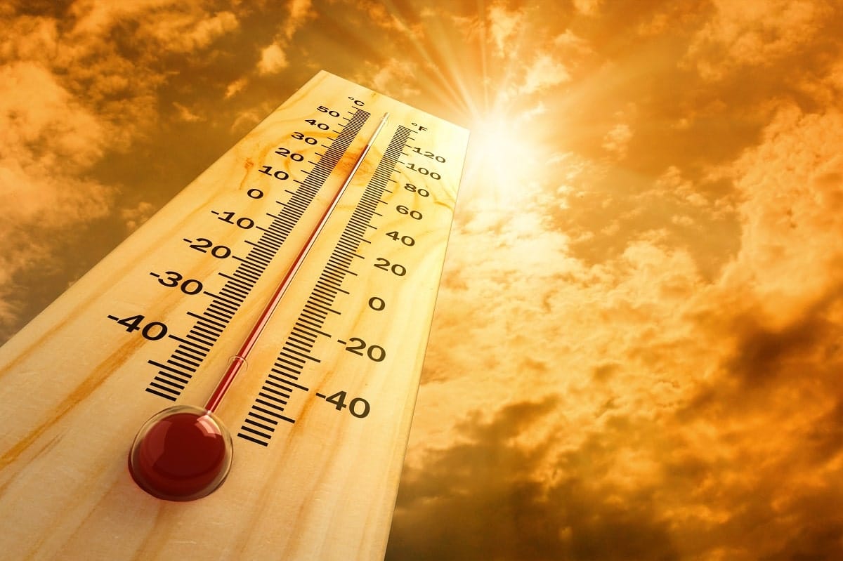 Canicule en Algérie : à quoi s’attendre dans les prochains jours ?