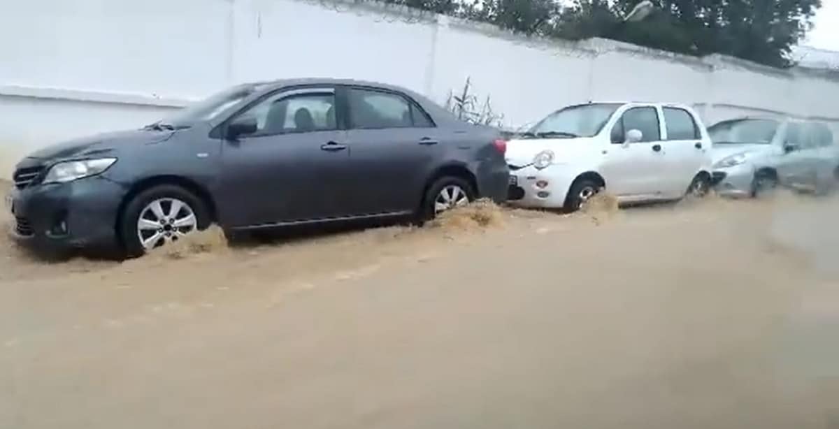 Inondations : l’Algérie peut s’inspirer des solutions qui fonctionnent à l’étranger
