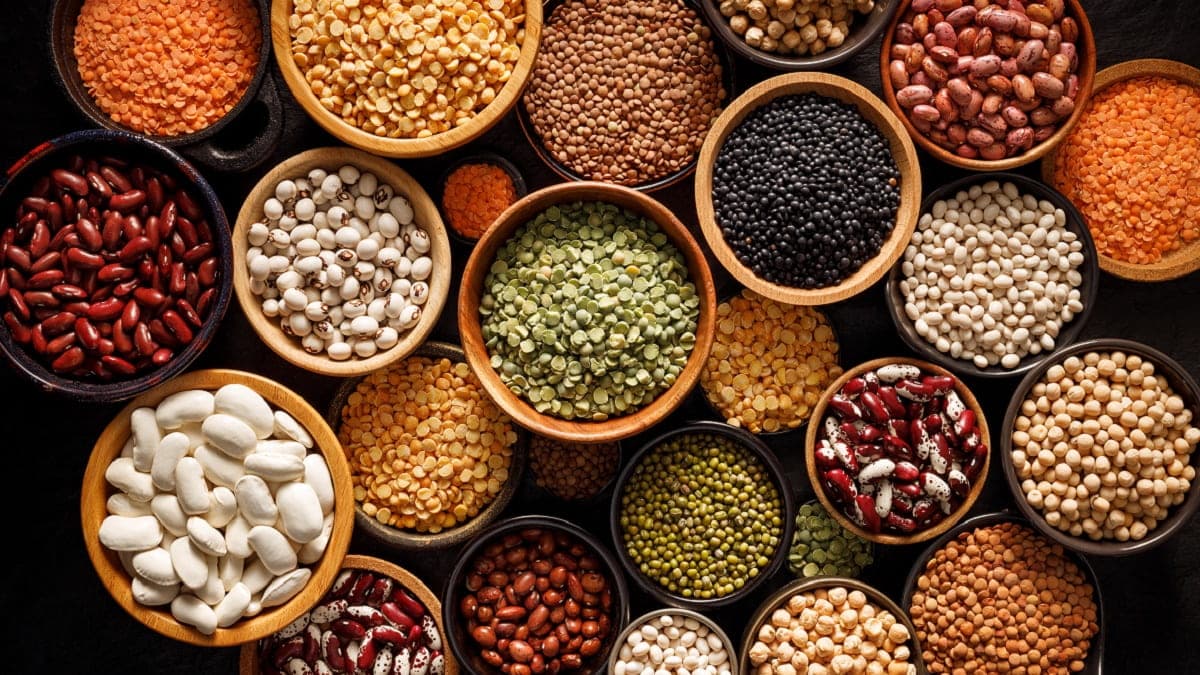 Le double objectif du plan relance de la culture des légumes secs en Algérie