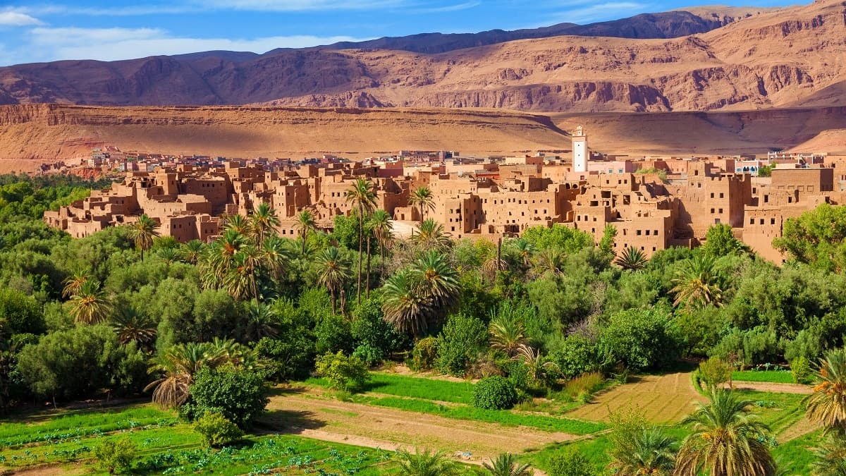 Maroc : la gestion hasardeuse de l’agriculture prive la population d’eau