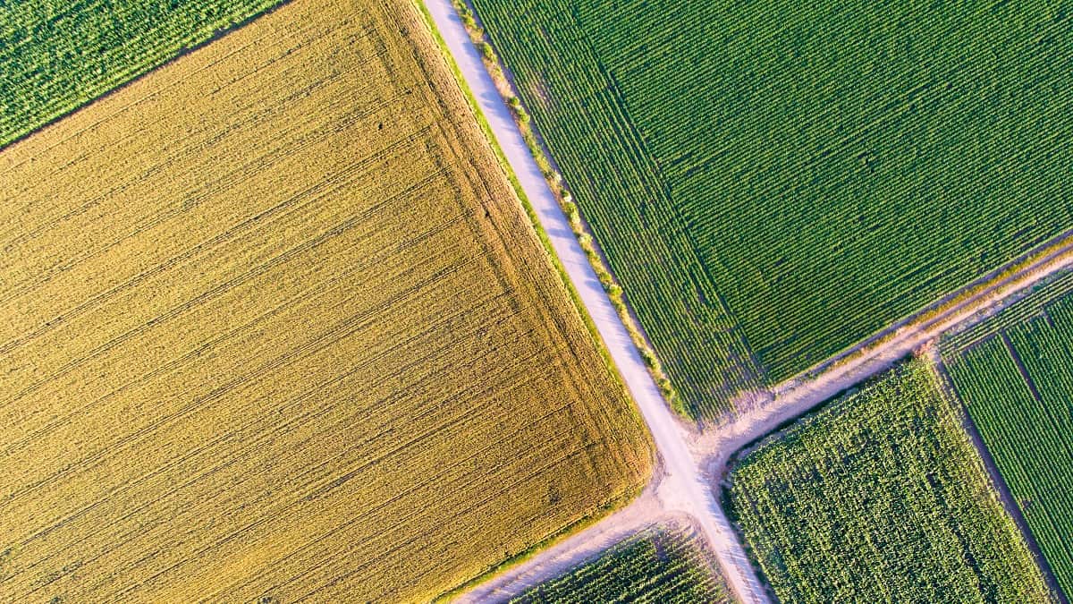 Nememcha, dans les Aurès, futur grenier agricole de l’Algérie