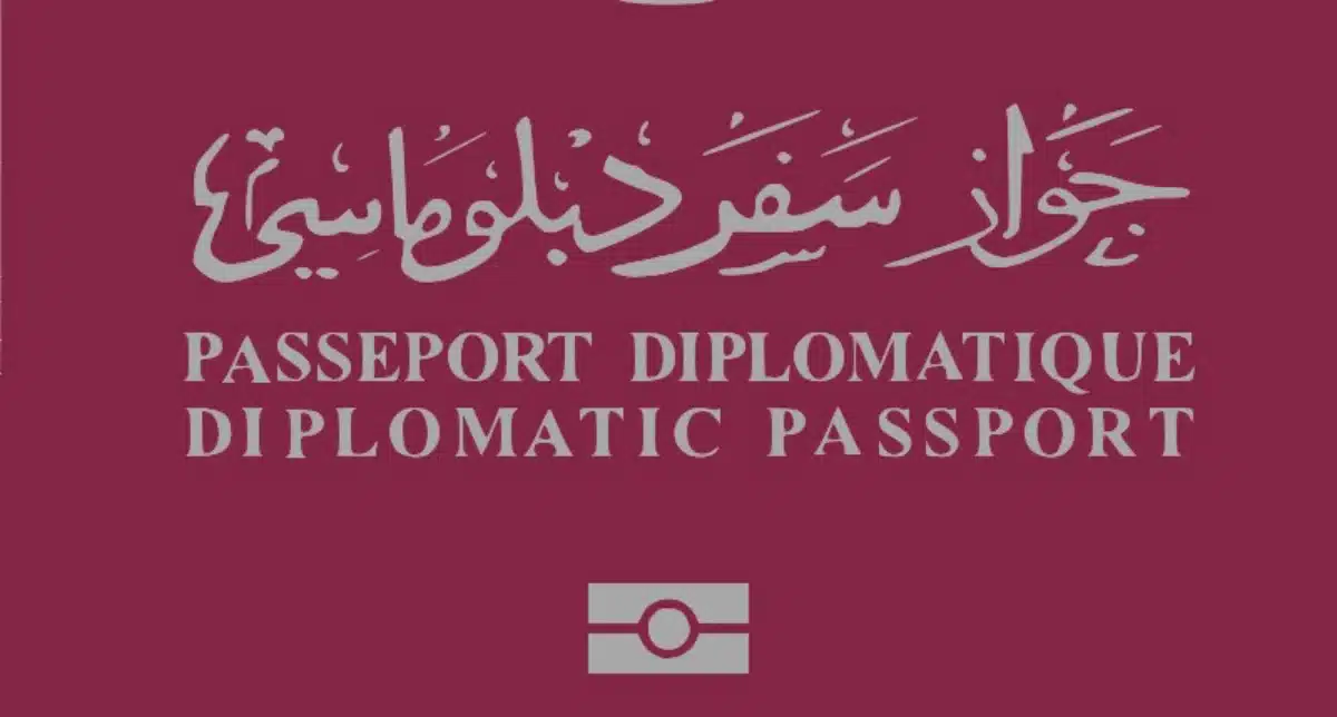 Passeport diplomatique algérien : la liste des bénéficiaires fixée