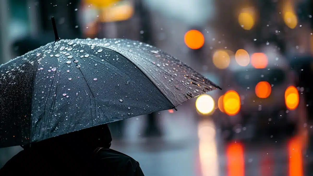 Alerte pluie en Algérie : voici les 12 wilayas concernées