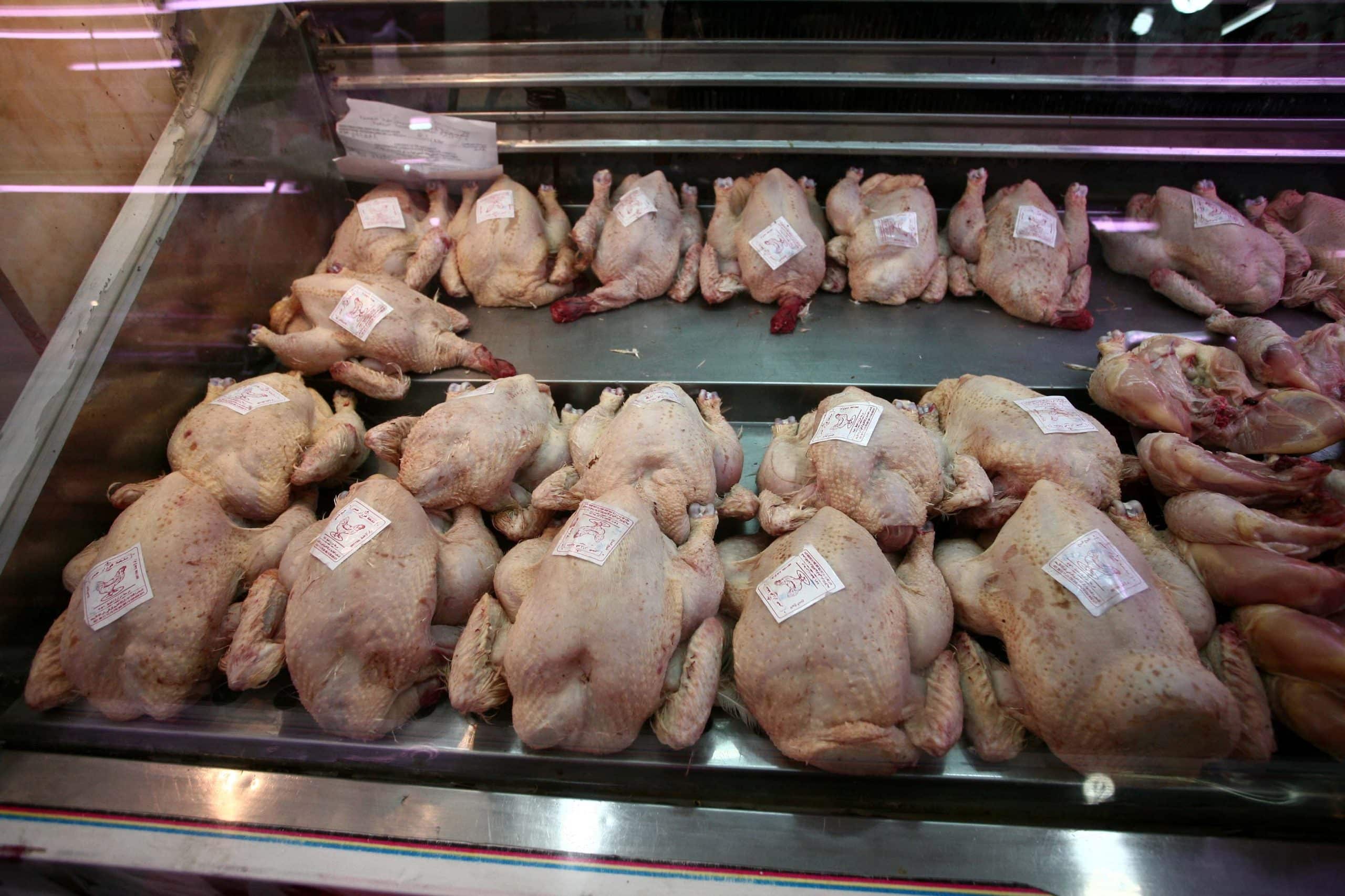 Les raisons de la nouvelle flambée du poulet en Algérie