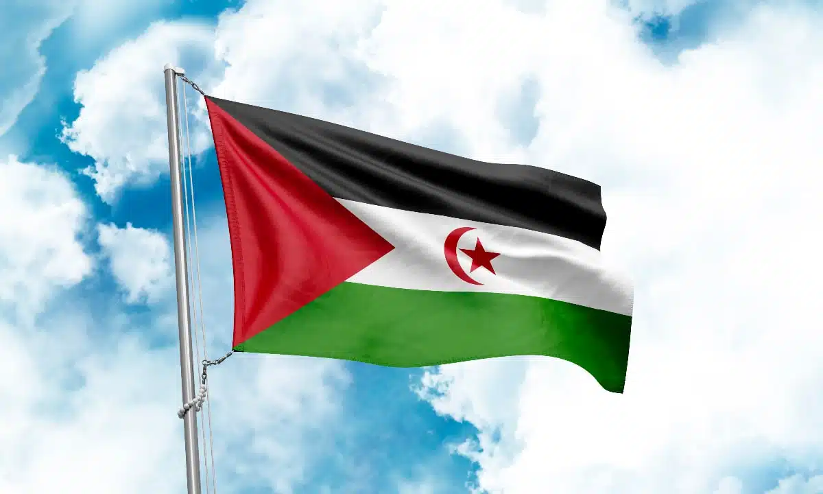 Sahara occidental : le Conseil de sécurité « n’est pas une agence foncière »