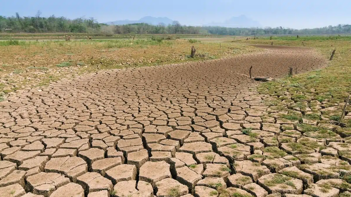 Le spectre de la sécheresse plane sur l’Algérie : comment économiser l’eau ?