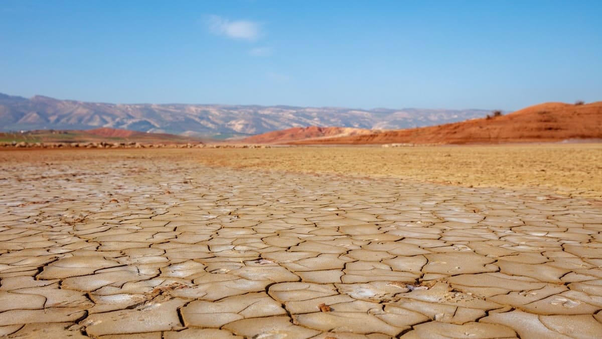 Au Maroc, le secteur agricole est dévasté par la sécheresse