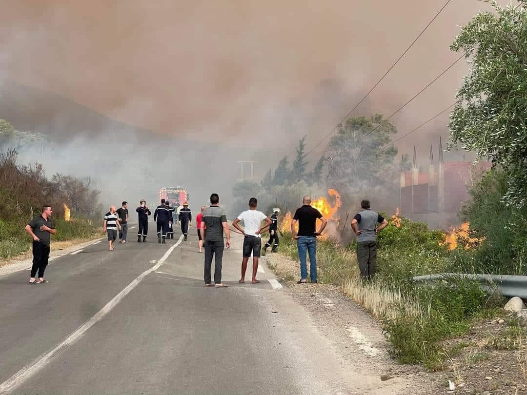 Incendies en Algérie : témoignages bouleversants de survivants