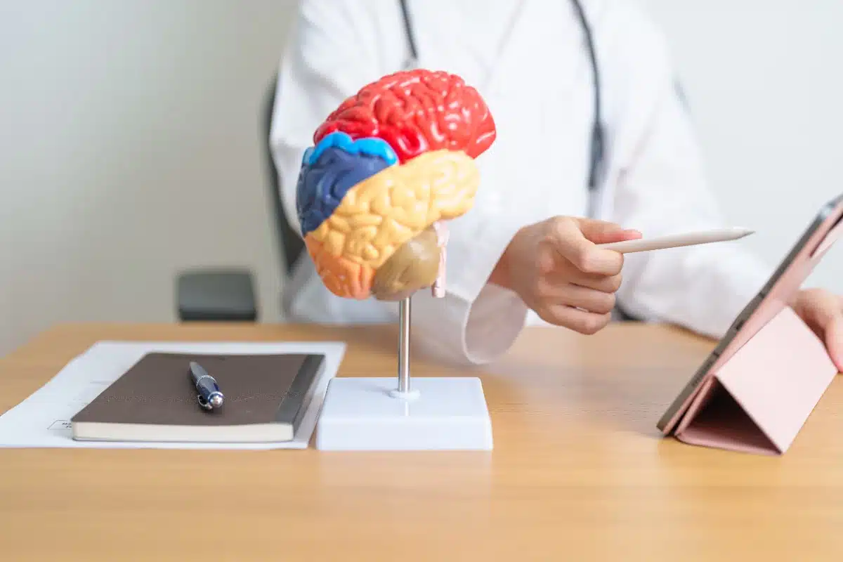 Le Pr Tliba s’inquiète de la hausse des tumeurs cérébrales en Algérie