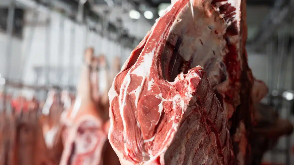 Les Algériens vont-ils manger de la viande locale ou étrangère durant le Ramadan 2024 ?
