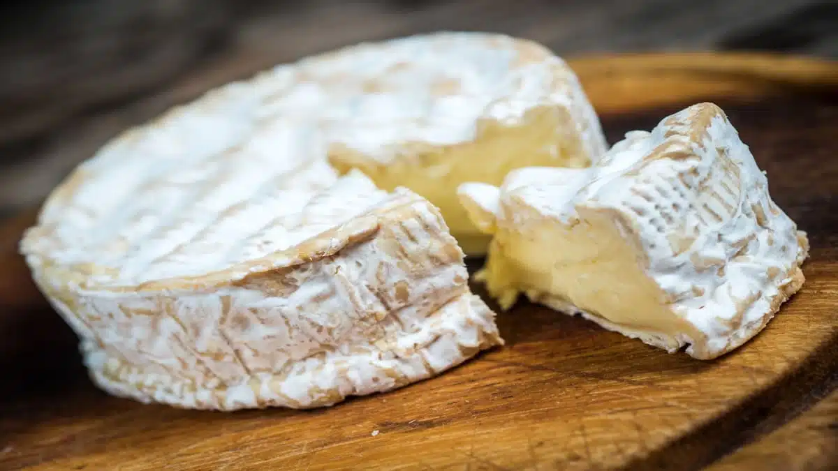 France : au pays du fromage, l’algérien Tassili mise sur le Halal et la qualité pour percer