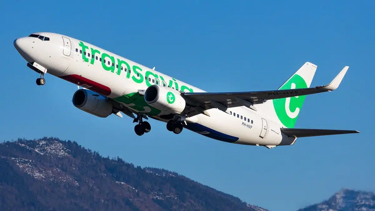 Vol Oran-Paris de Transavia : un passager en colère sème la panique à bord