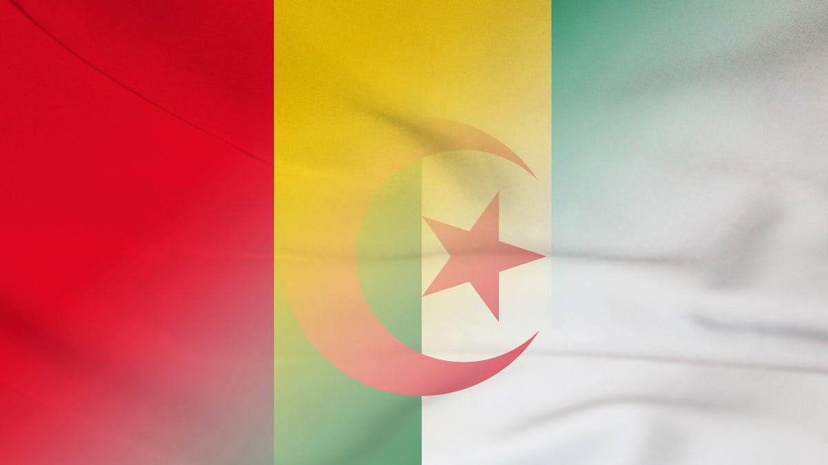 Algérie – Guinée : l’historique des confrontations de 1968 à 2024