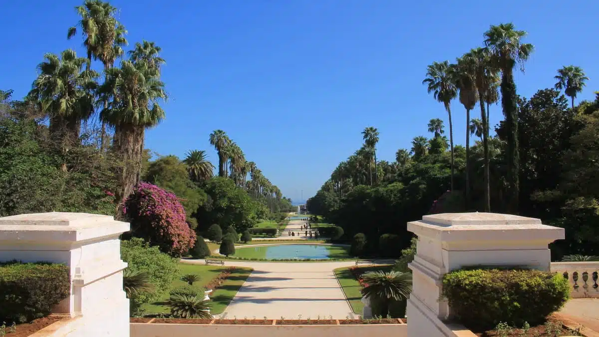 Jardin d’Essai : le joyau naturel d’Alger a failli partir en fumée
