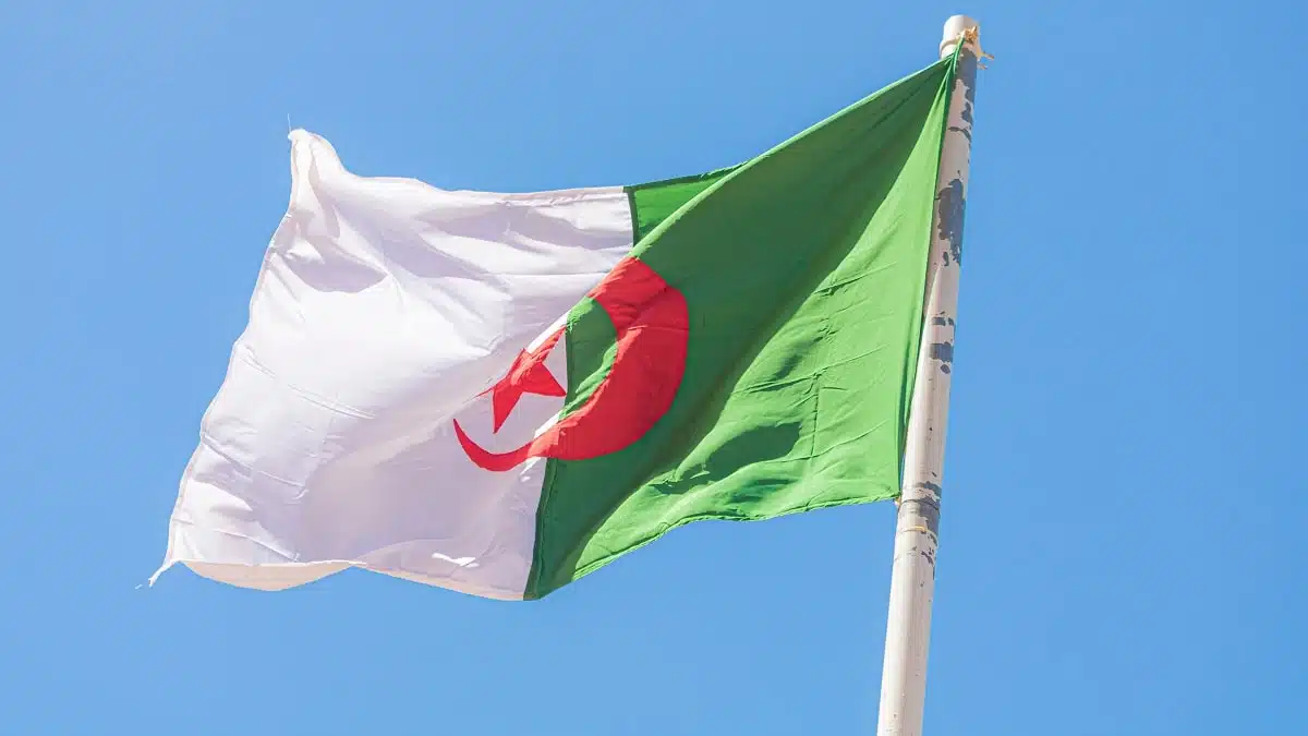 VIDÉO. Alger : le viaduc d’Oued Ouchayah opérationnel