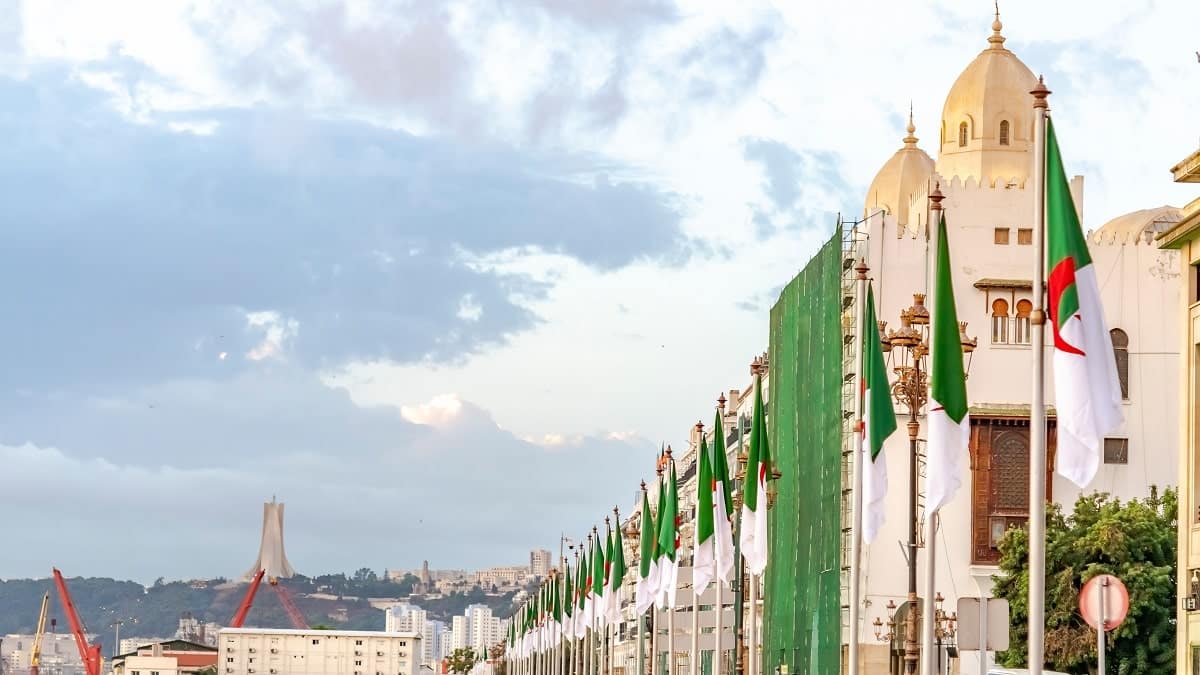 Présidentielles en Algérie, Baladna, Yacine Adli, Kaylia Nemour…Les infos à retenir
