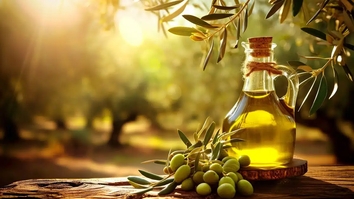 Huile d’olive algérienne : le top 4 des meilleures marques selon TasteAtlas