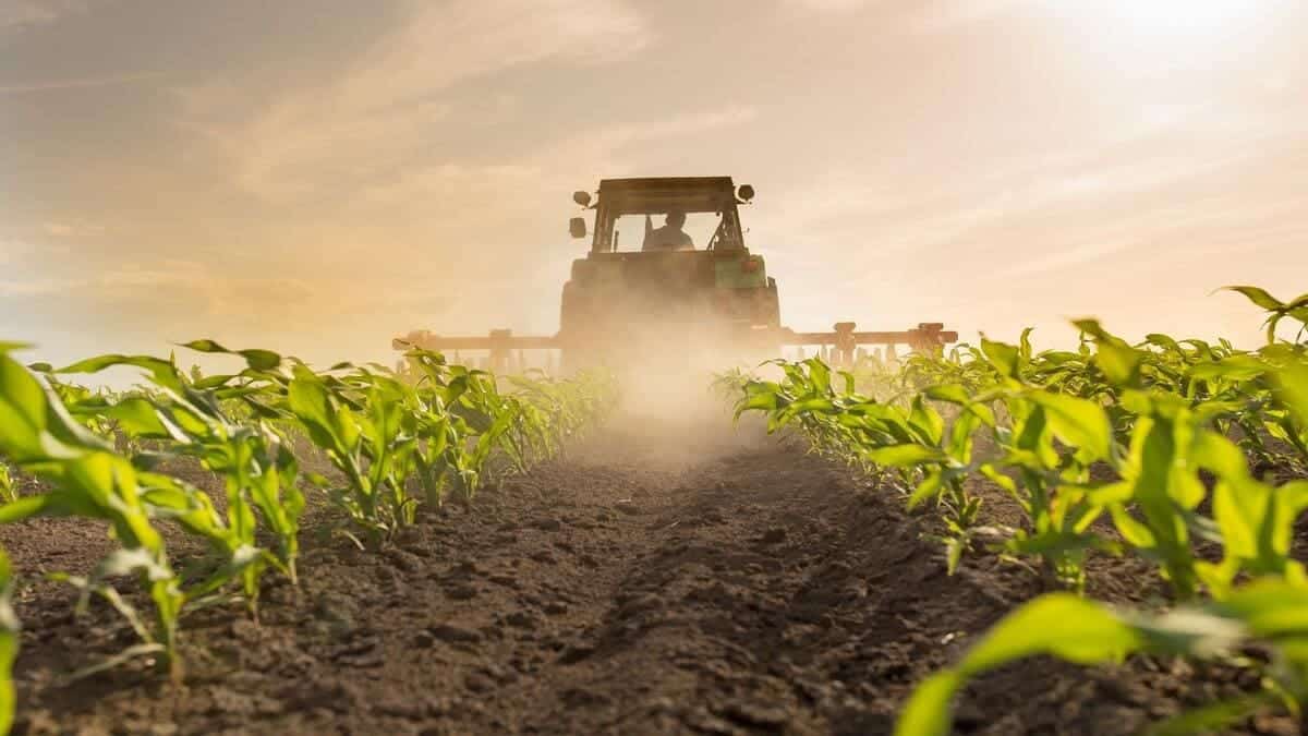 « Les produits agricoles algériens sont demandés dans toute l’Europe »