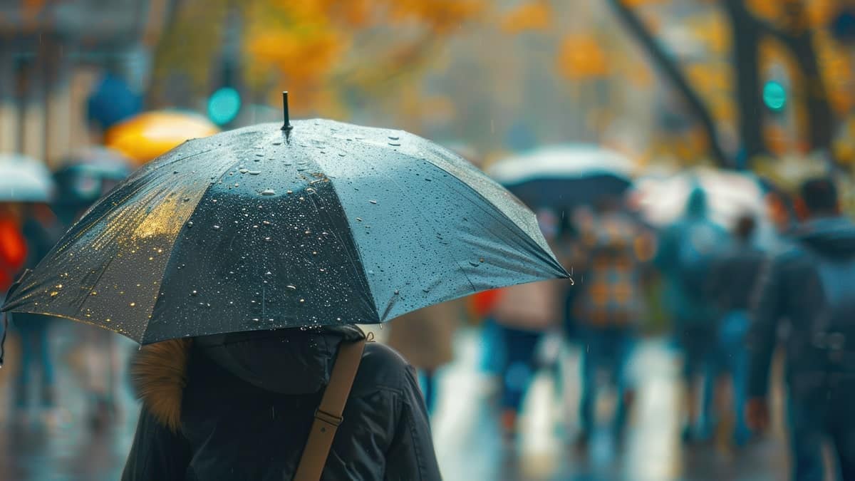 Pluies en Algérie : voici les régions concernées ce jeudi 5 septembre