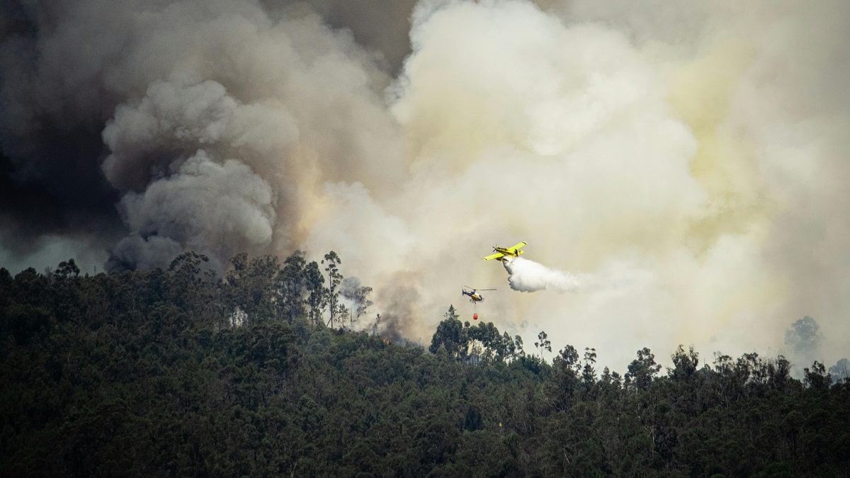 Algérie : réception du second bombardier d’eau russe