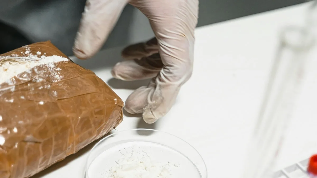 Algérie : le narcotrafic érigé en menace à la sécurité nationale
