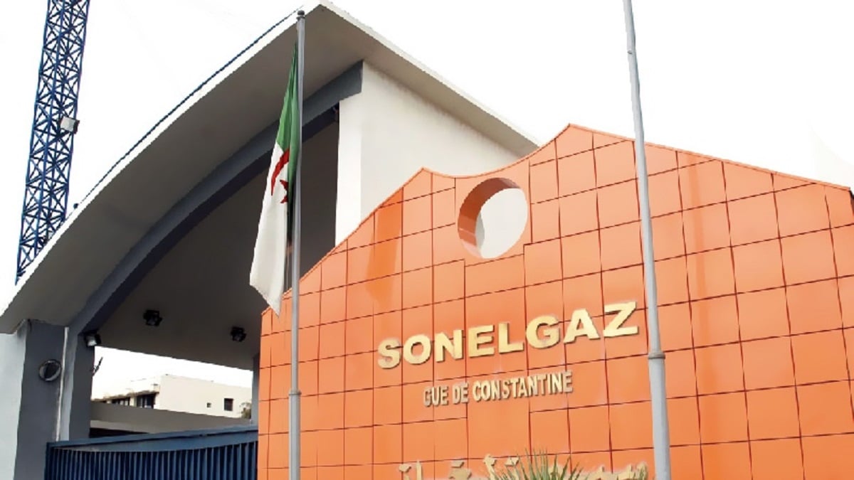 Sonelgaz soumet une proposition d’investissement dans l’énergie au Niger