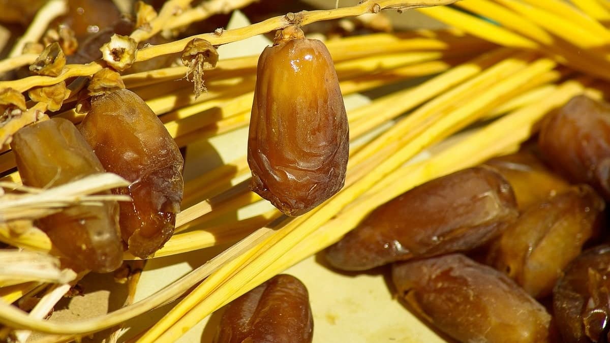 Dattes algériennes au Maroc : la réponse des experts aux accusations