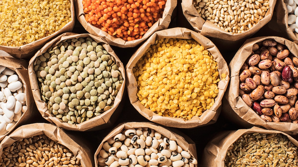 Algérie : la culture des légumes secs en plein essor, voici les enjeux