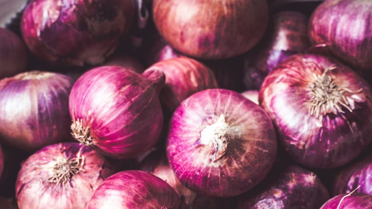 Pénurie d’oignon au Maroc : symptôme d’un modèle agricole en crise