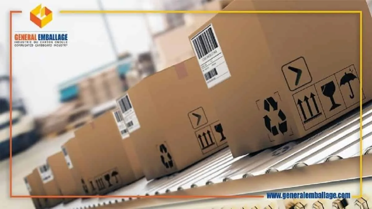 Carton : Général Emballage lance une usine stratégique en Algérie