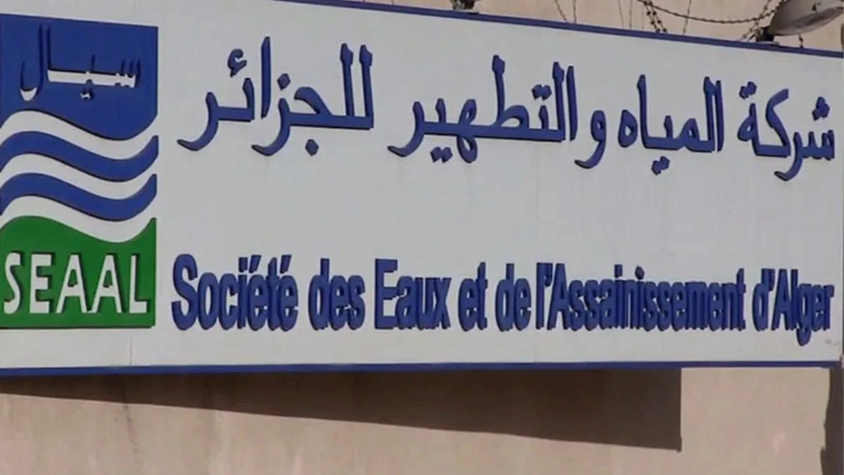 Après Air Algérie, une autre entreprise abandonne le français pour l’anglais