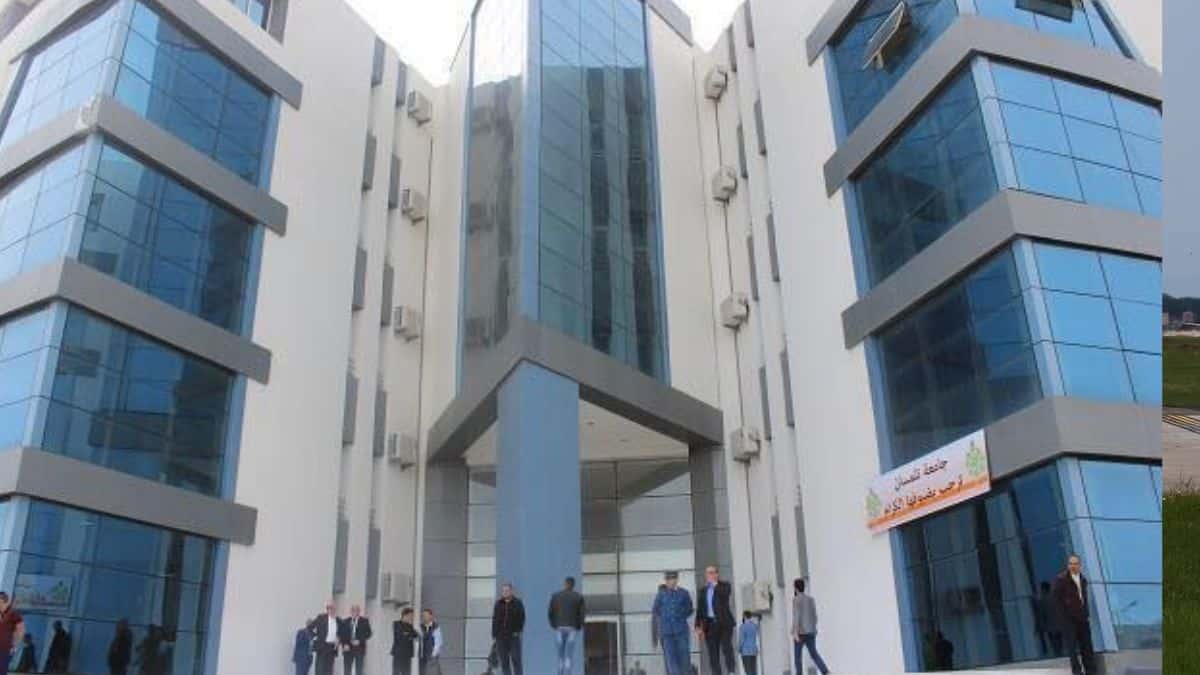 L’Algérie mise sur sa diaspora pour former les entrepreneurs de demain