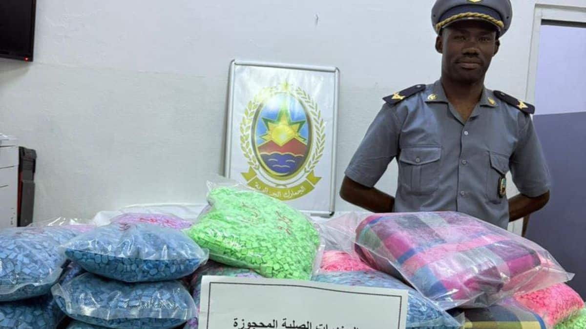 Algérie : nouvelle saisie d’ecstasy en provenance de Marseille